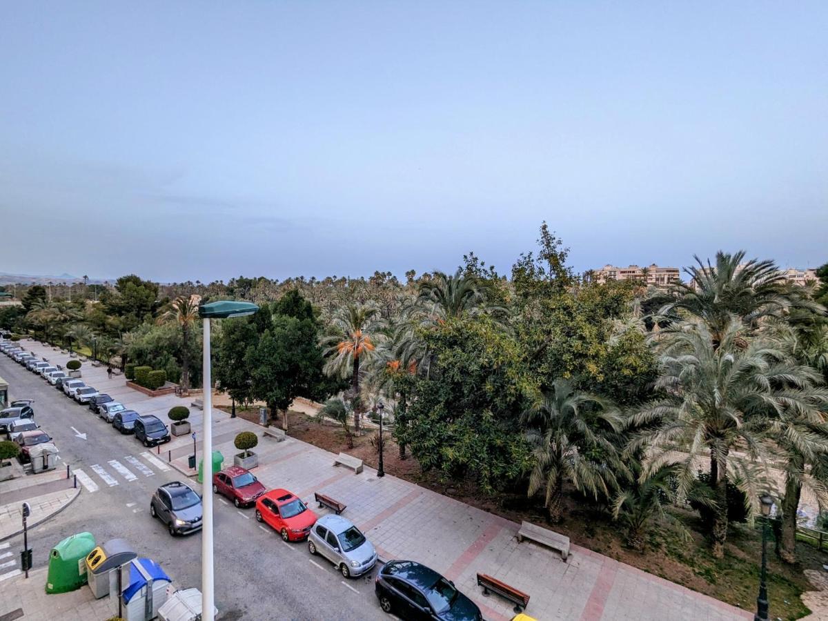 Comunidad Valenciana 31 إلتشه المظهر الخارجي الصورة