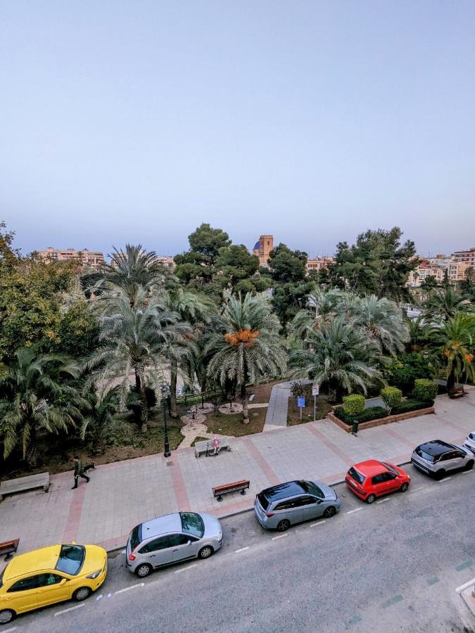 Comunidad Valenciana 31 إلتشه المظهر الخارجي الصورة
